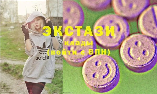 индика Вяземский