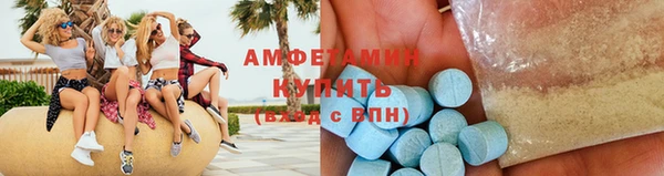 индика Вяземский