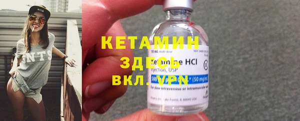 индика Вяземский