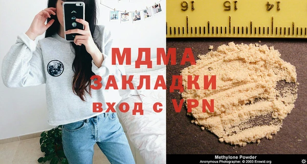 индика Вяземский