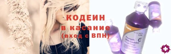 индика Вяземский
