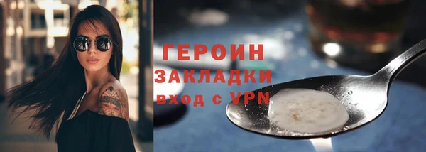 индика Вяземский