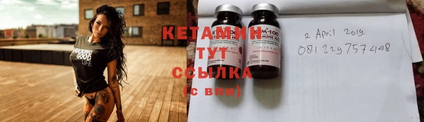 индика Вяземский