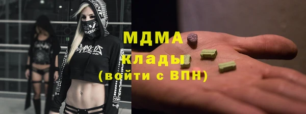 индика Вяземский