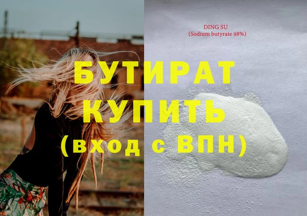 индика Вяземский