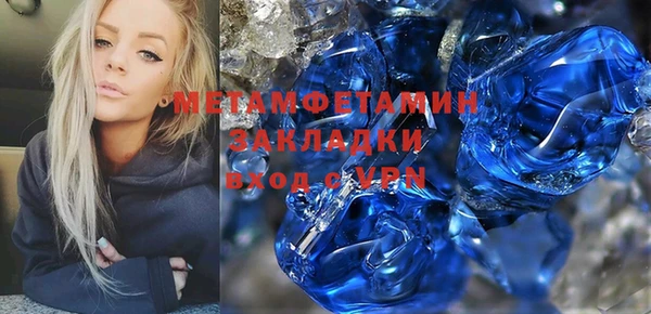индика Вяземский