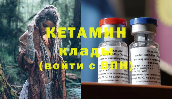 индика Вяземский