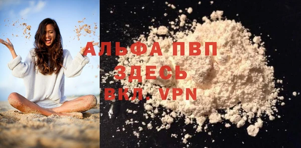 индика Вяземский