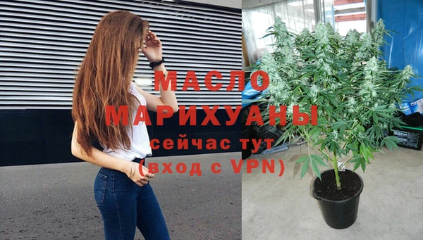 индика Вяземский