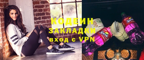 индика Вяземский