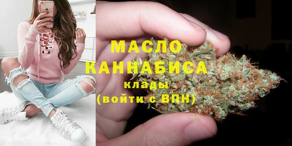 индика Вяземский