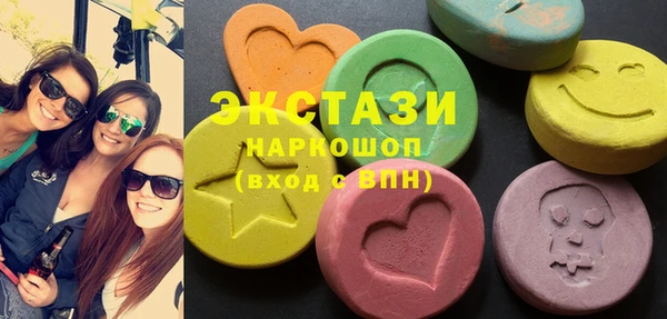 индика Вяземский