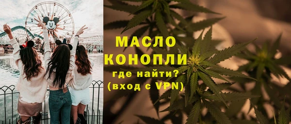 индика Вяземский