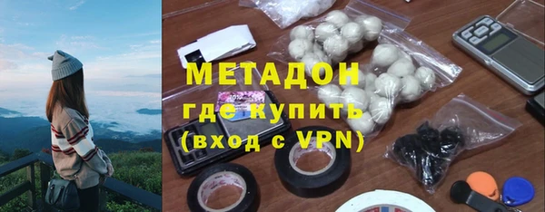 индика Вяземский